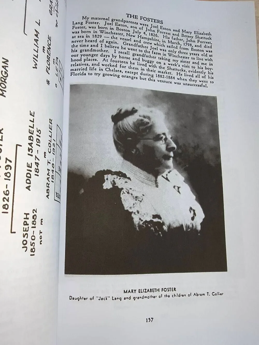 A Family Sketch by Arthur Luke Collier paperback Genealogy